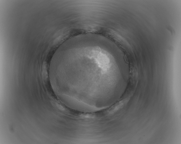 X0000110991058200907022112