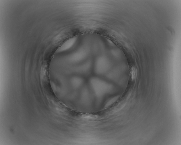 X0000110991059200907022112