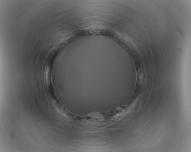 X0000110991060200907022112
