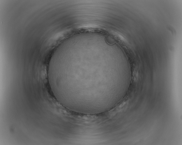 X0000110991062200907022112