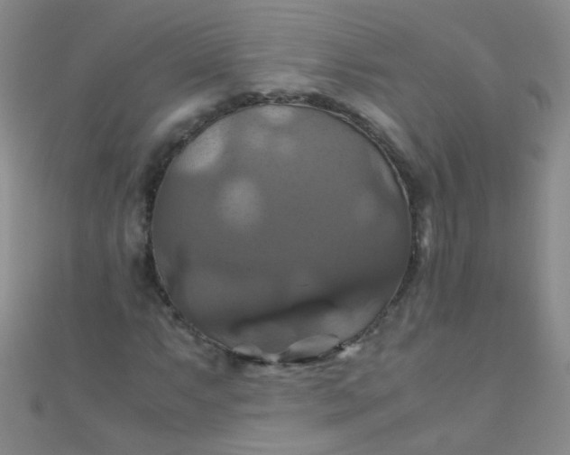 X0000110991063200907022112