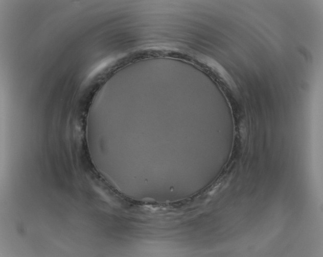 X0000110991064200907022112