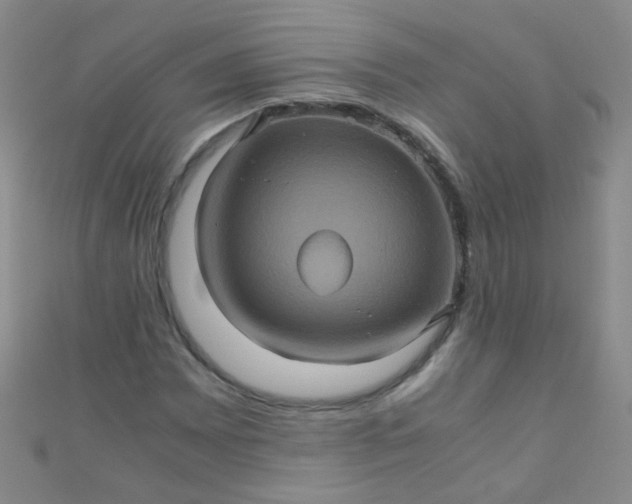 X0000110991065200907022112