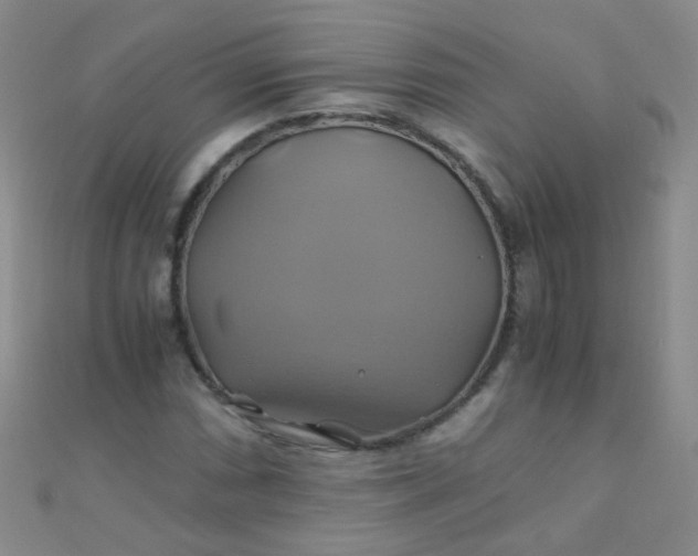 X0000110991066200907022112