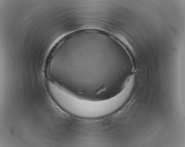 X0000110991068200907022112