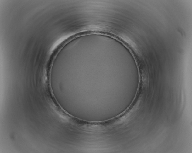 X0000110991070200907022112