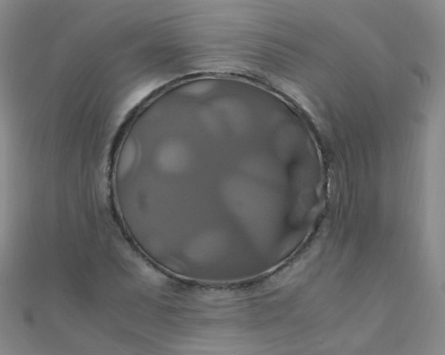 X0000110991071200907022112