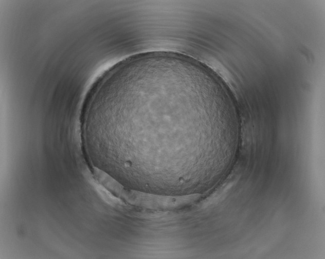 X0000110991072200907022112