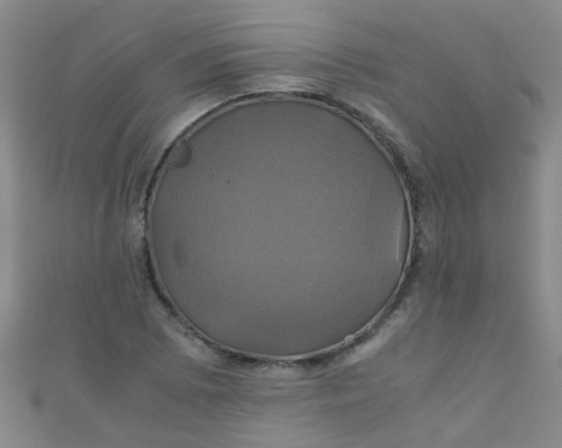 X0000110991073200907022112
