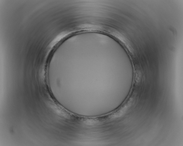 X0000110991074200907022112