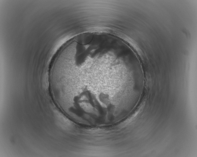 X0000110991075200907022112