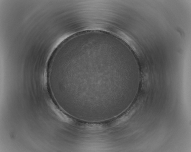 X0000110991076200907022112