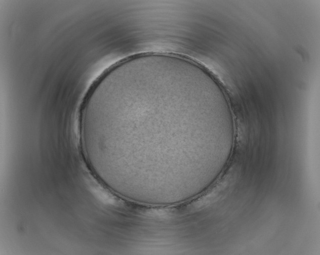 X0000110991078200907022112