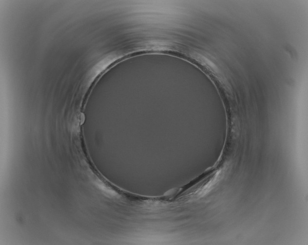 X0000110991081200907022112