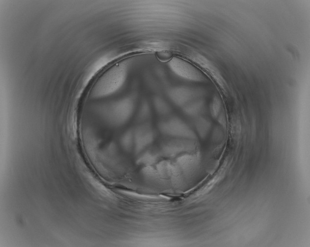 X0000110991083200907022112