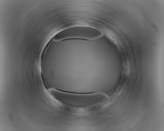 X0000110991084200907022112