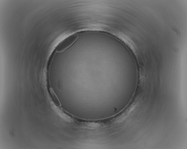 X0000110991085200907022112