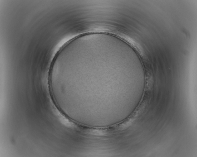 X0000110991086200907022112