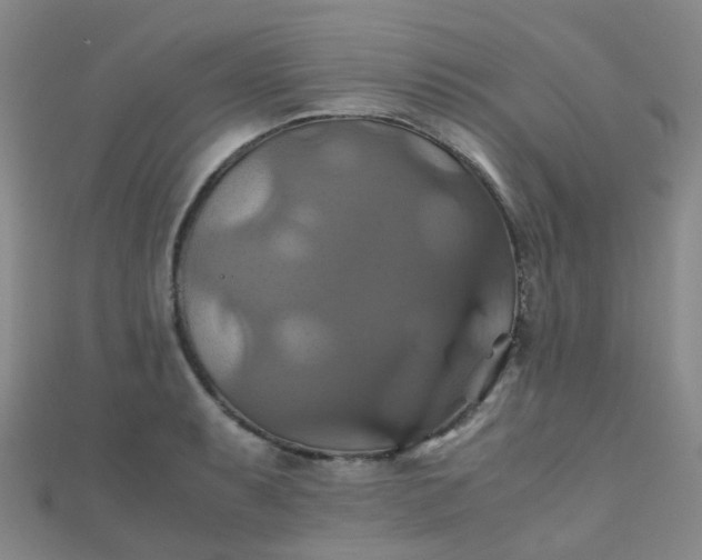X0000110991087200907022112