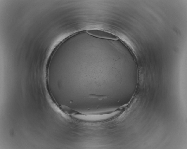 X0000110991088200907022112