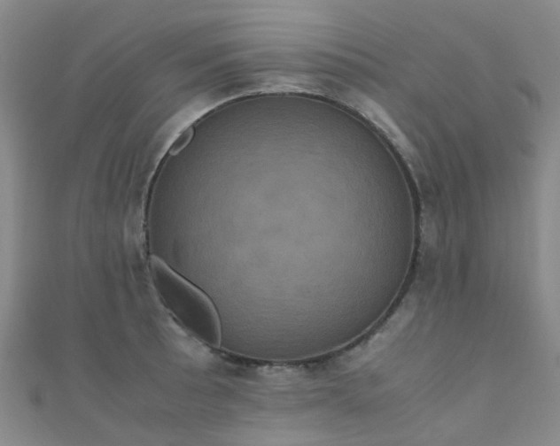 X0000110991089200907022112