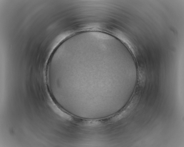 X0000110991090200907022112