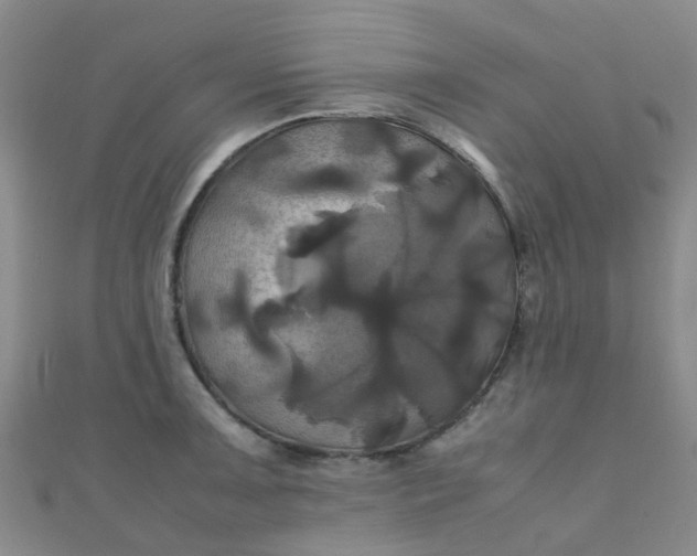 X0000110991091200907022112