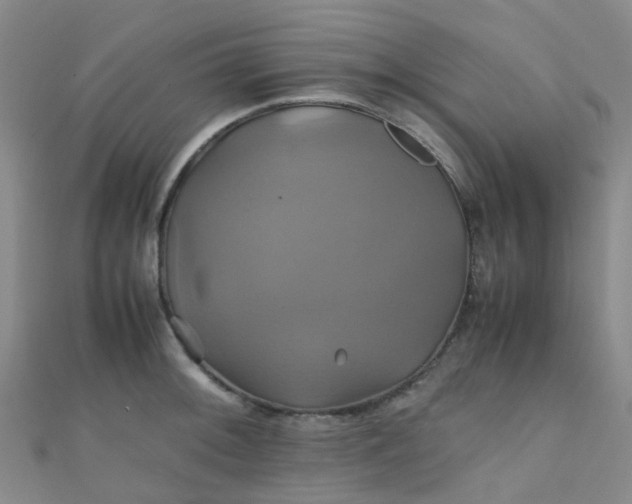 X0000110991092200907022112