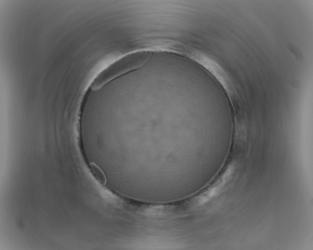 X0000110991093200907022112