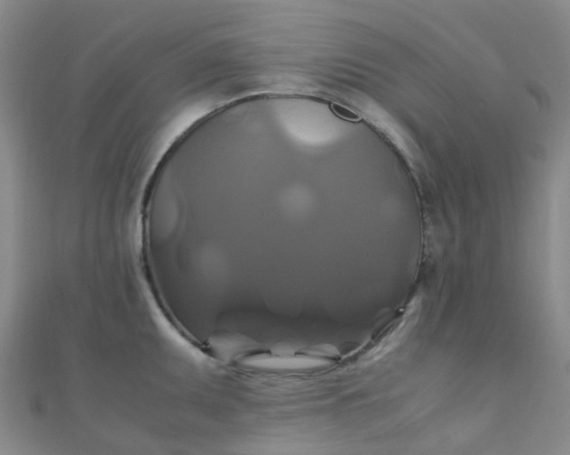 X0000110991095200907022111