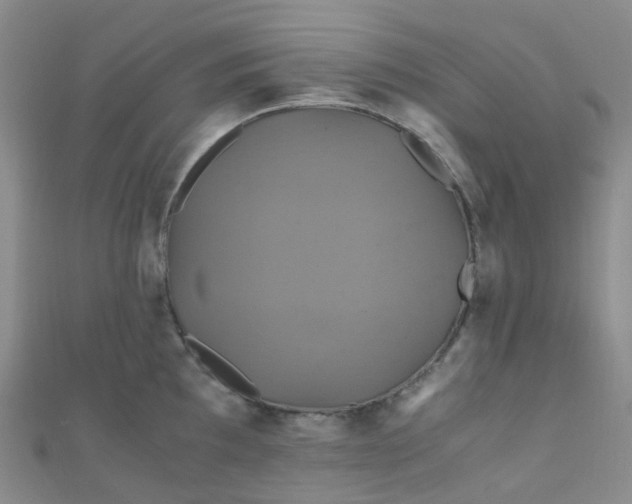 X0000110991097200907022111