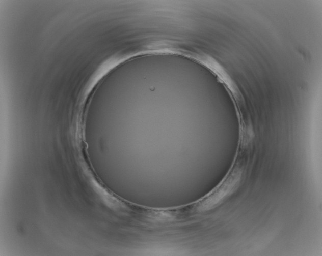X0000110991101200907022111