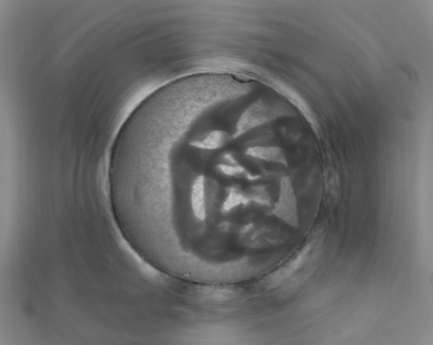X0000110991103200907022111