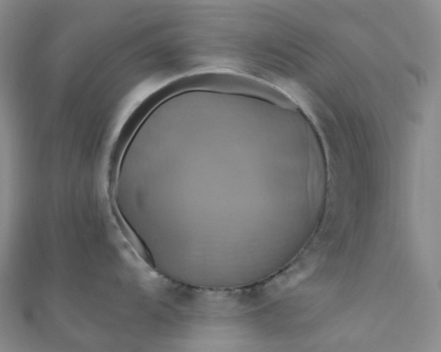 X0000110991104200907022111