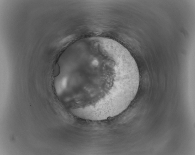 X0000110991105200907022111