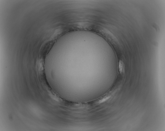 X0000110991107200907022111
