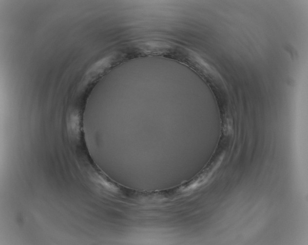 X0000110991108200907022111