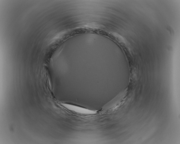 X0000110991110200907022111