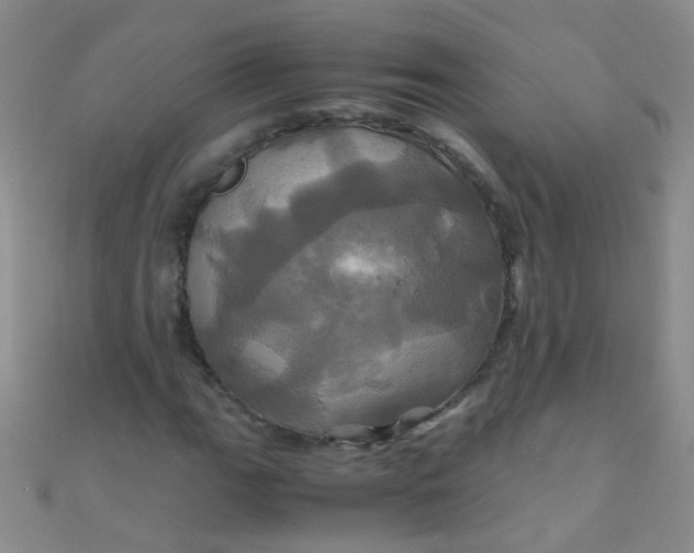 X0000110991111200907022111