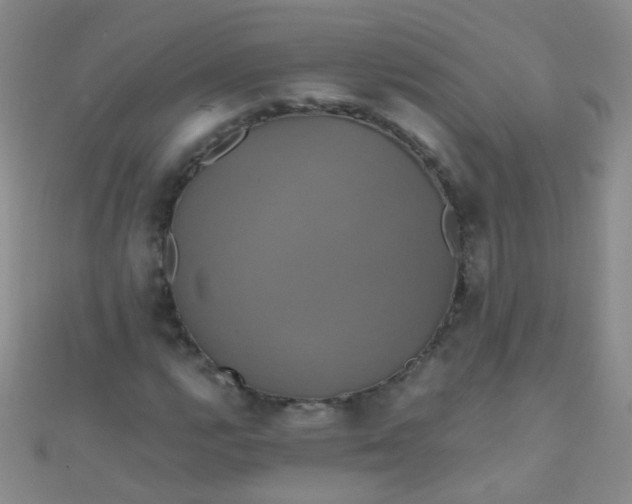 X0000110991112200907022111