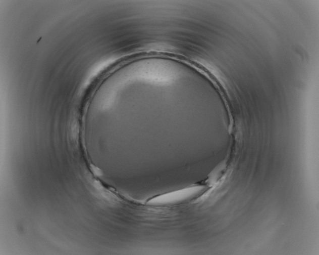 X0000110991115200907022111