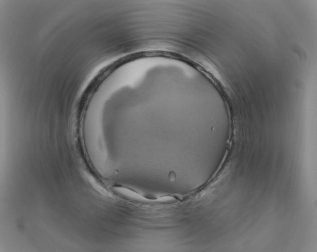 X0000110991116200907022111