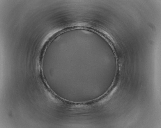 X0000110991117200907022111