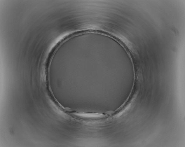 X0000110991118200907022111