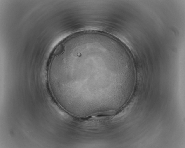 X0000110991119200907022111