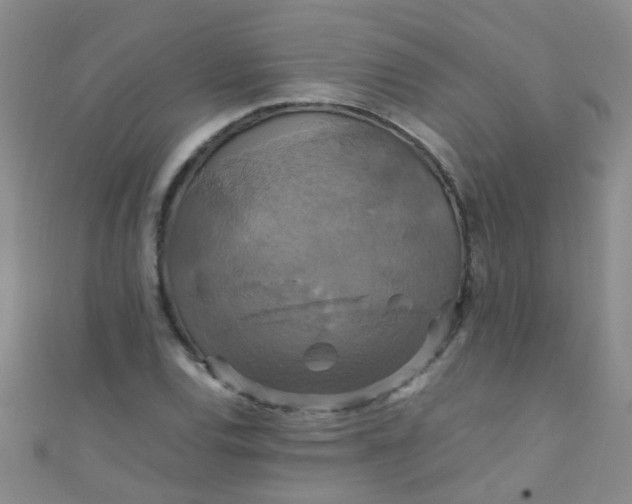 X0000110991120200907022111
