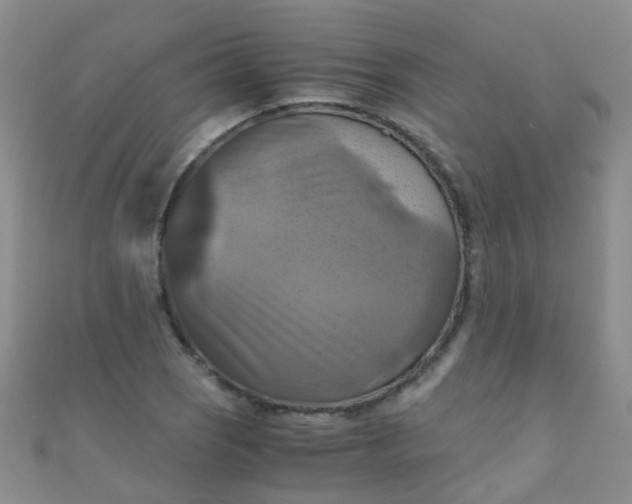 X0000110991121200907022111