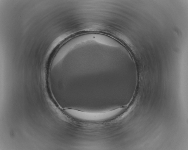 X0000110991122200907022111