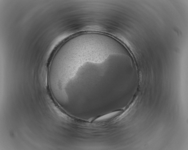 X0000110991123200907022111