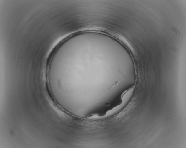 X0000110991124200907022111